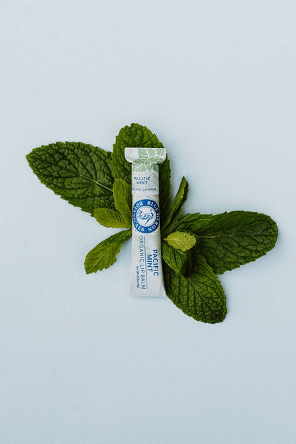 Organic Lip Balm - Pacific Mint